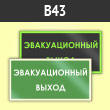 Знак B43 «Эвакуационный выход» (фотолюм. пластик ГОСТ, 300х150 мм)